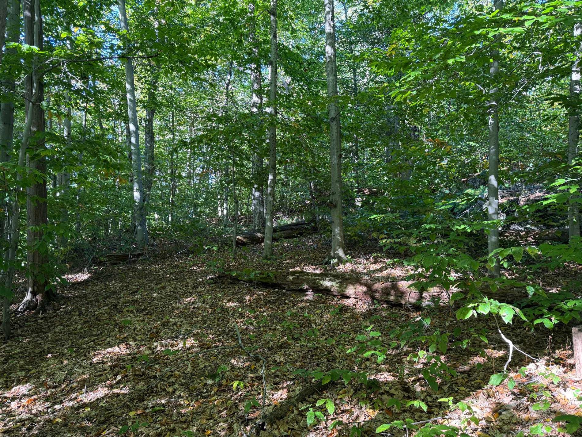 Route 329 — photo 2