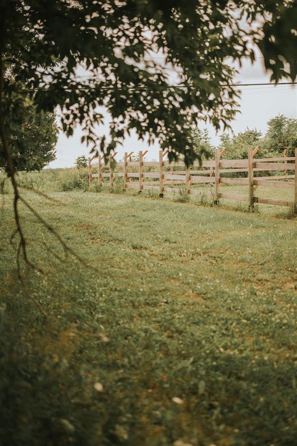 Photo 39