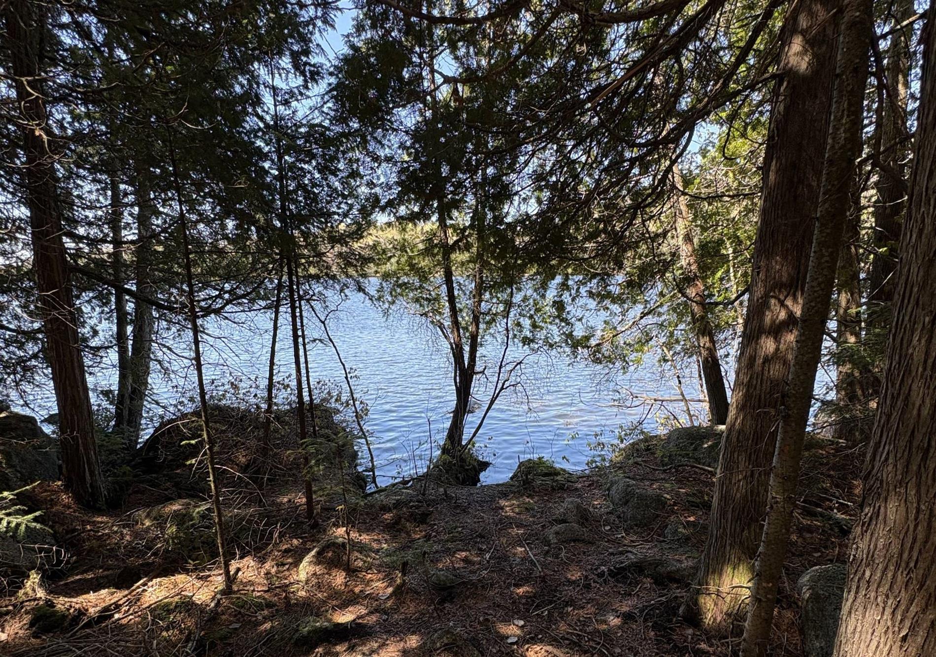 Ch. du Lac-Earl E. — photo 2