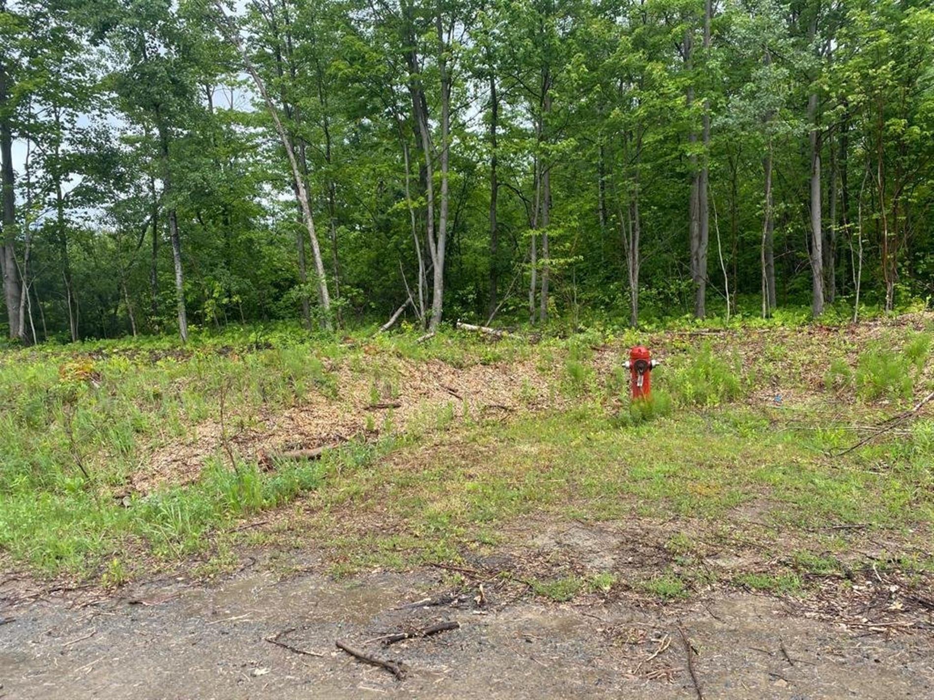 Boul. de l'Aéroparc — photo 2