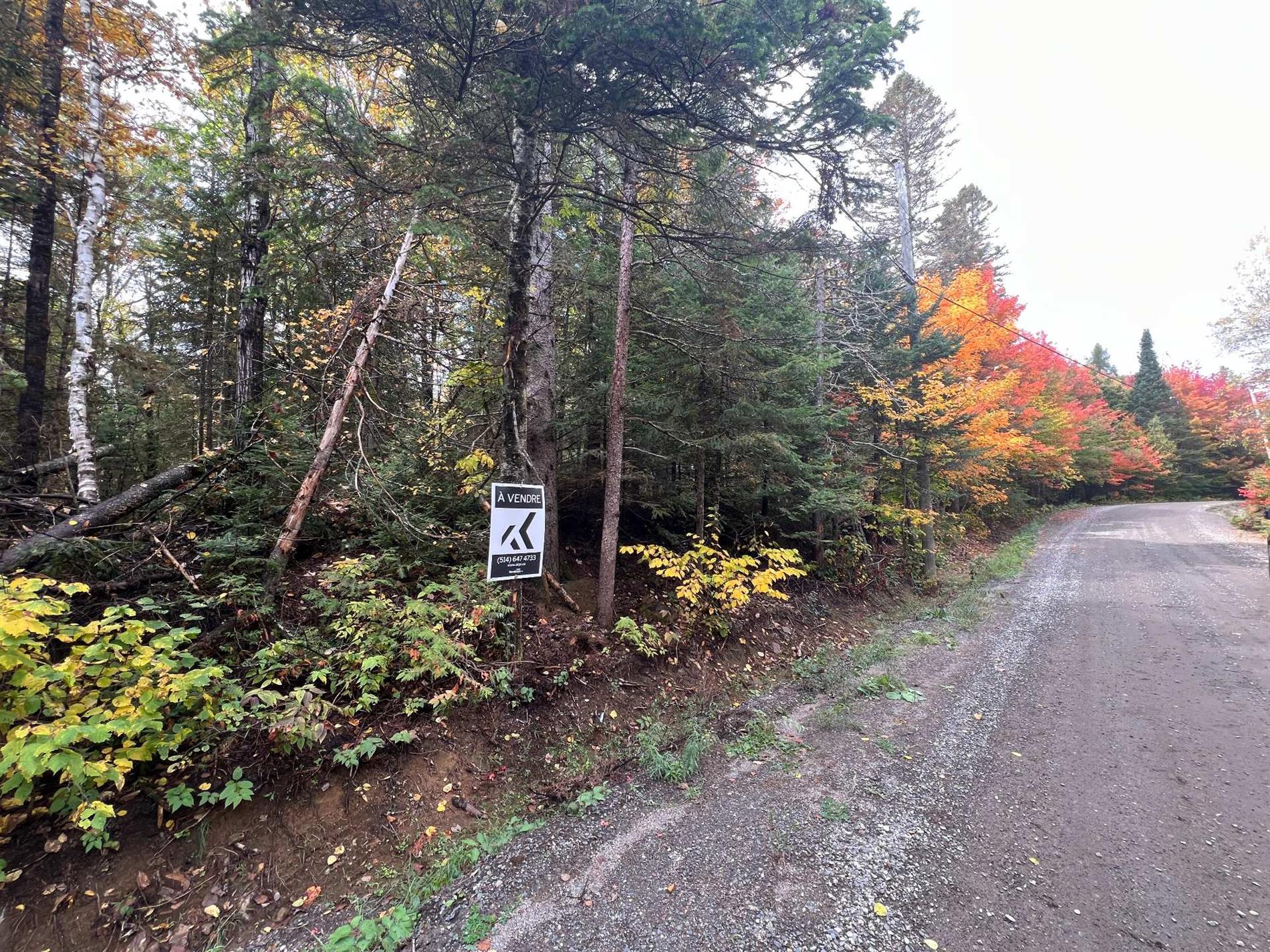Av. Solitaire — photo 3