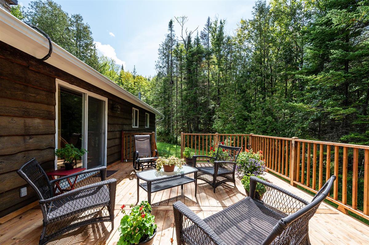 Photo 46