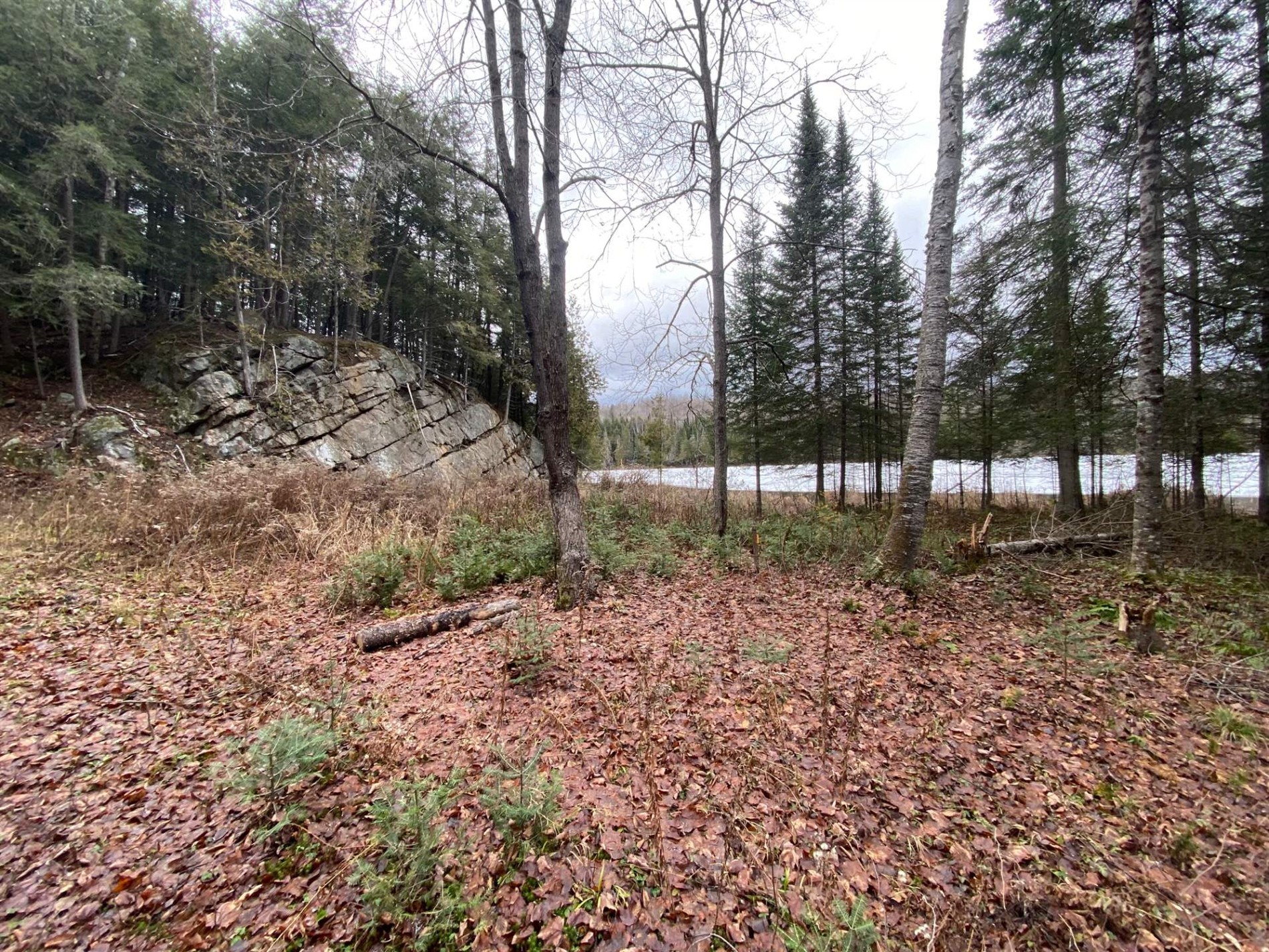 Ch. du Chevreuil-Blanc — photo 1