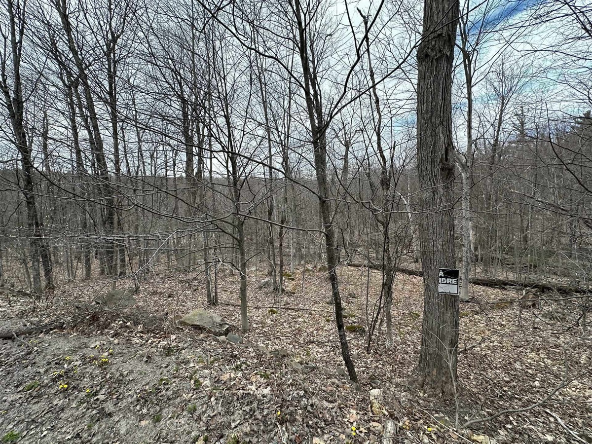 Terrain - Ch. Janitens, Brownsburg-Chatham