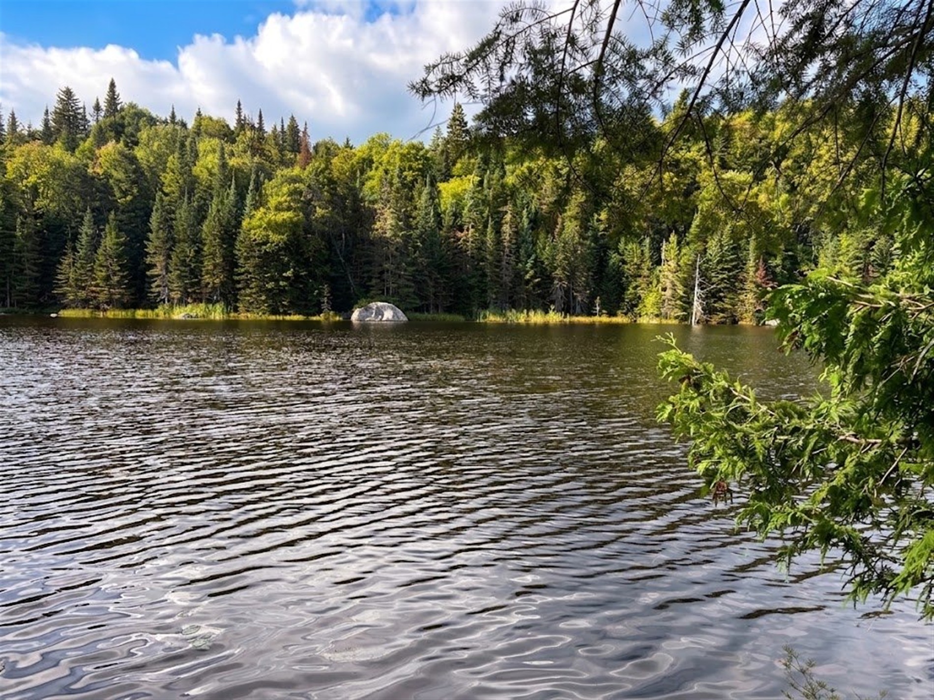 Ch. du Val-des-Bois — photo 1