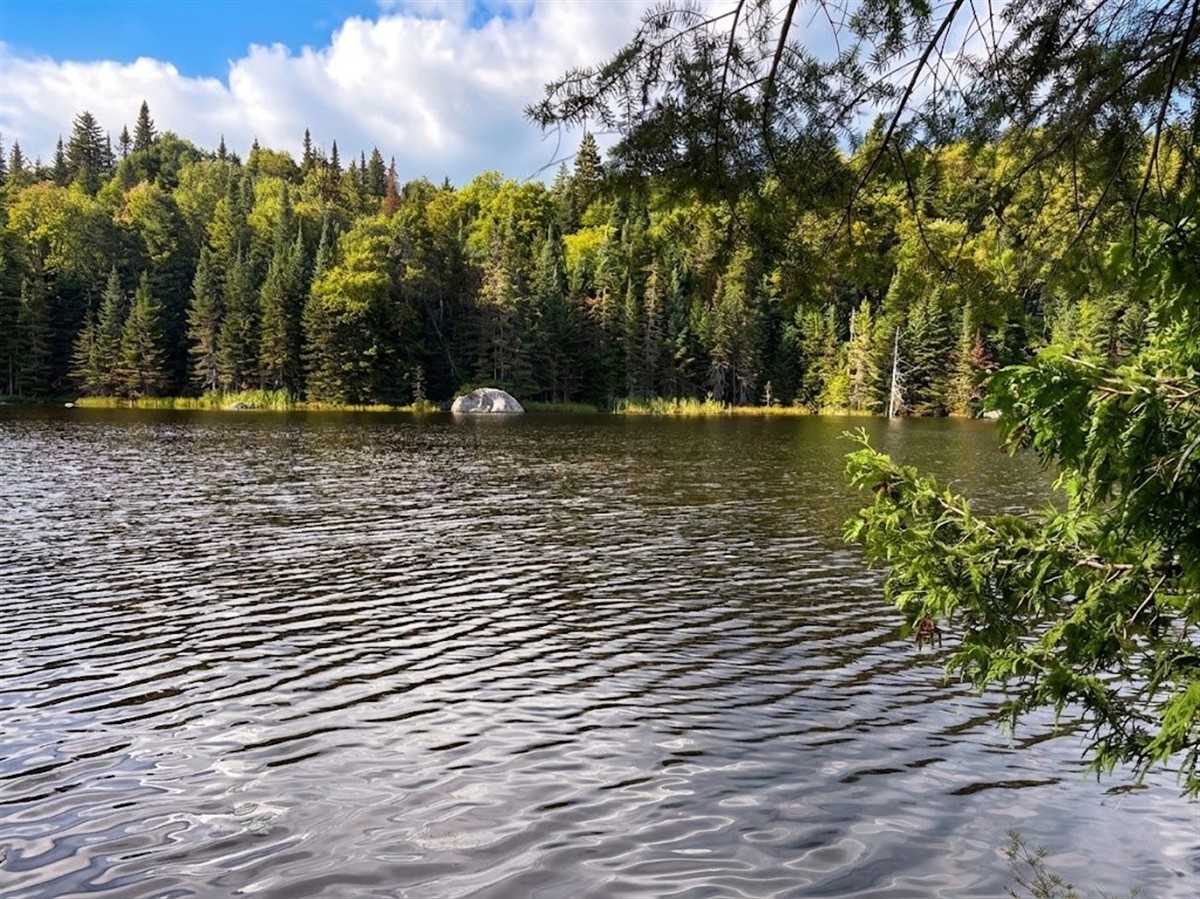 Terrain Saint-Adolphe-d'Howard