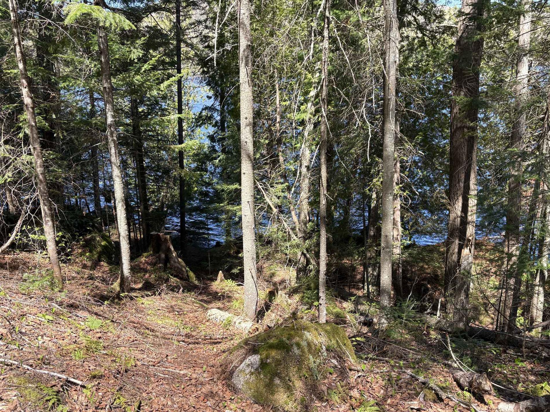 Ch. du Lac-Earl E. — photo 3