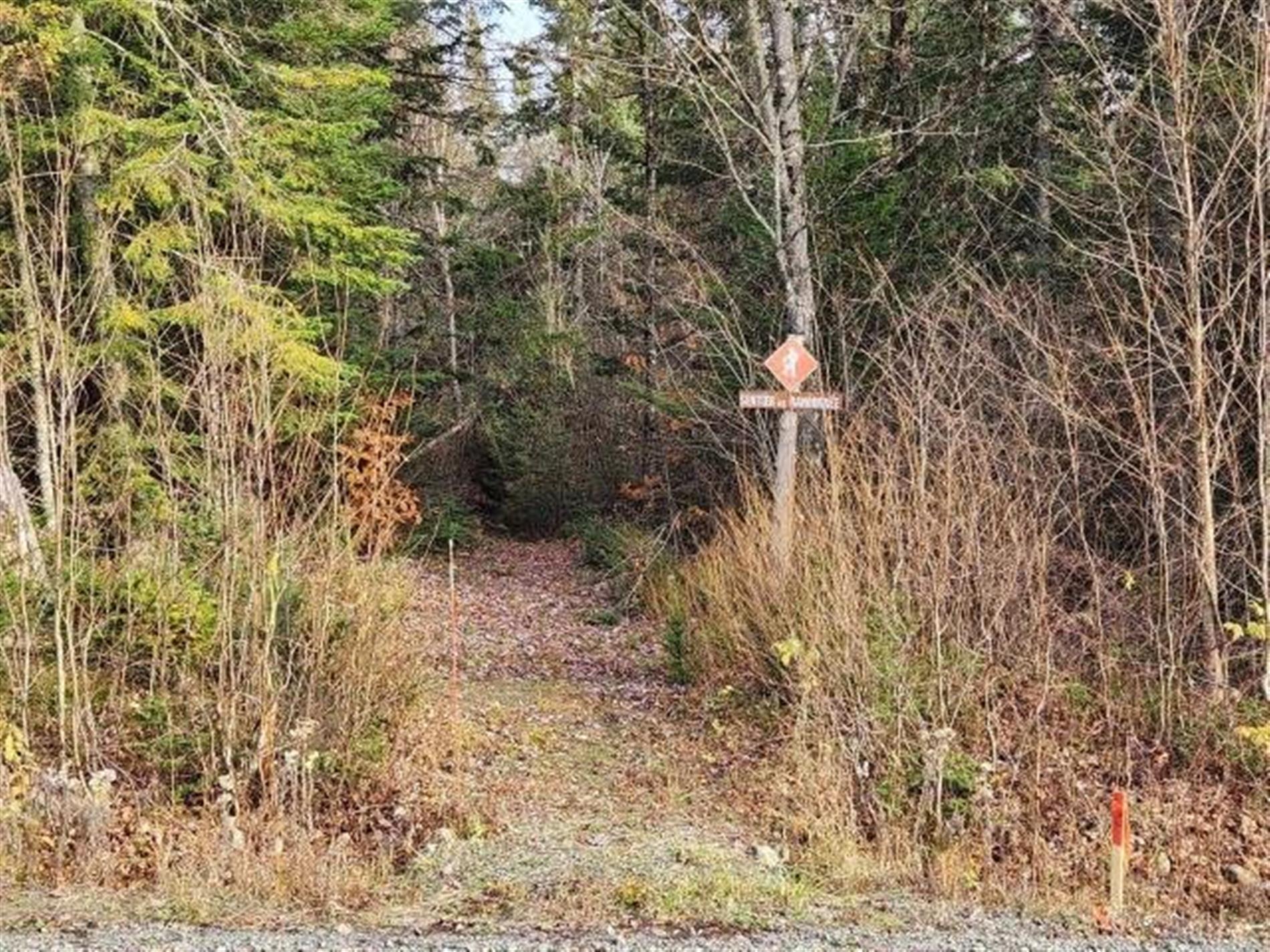 42-Ch. du Lac-Quenouille — photo 3
