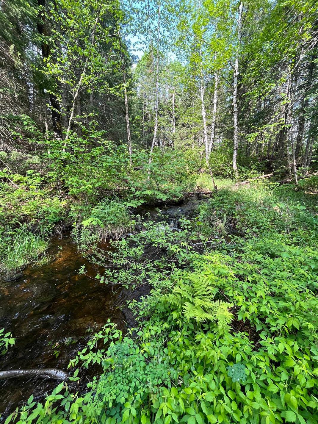 Rg St-Isidore — photo 1
