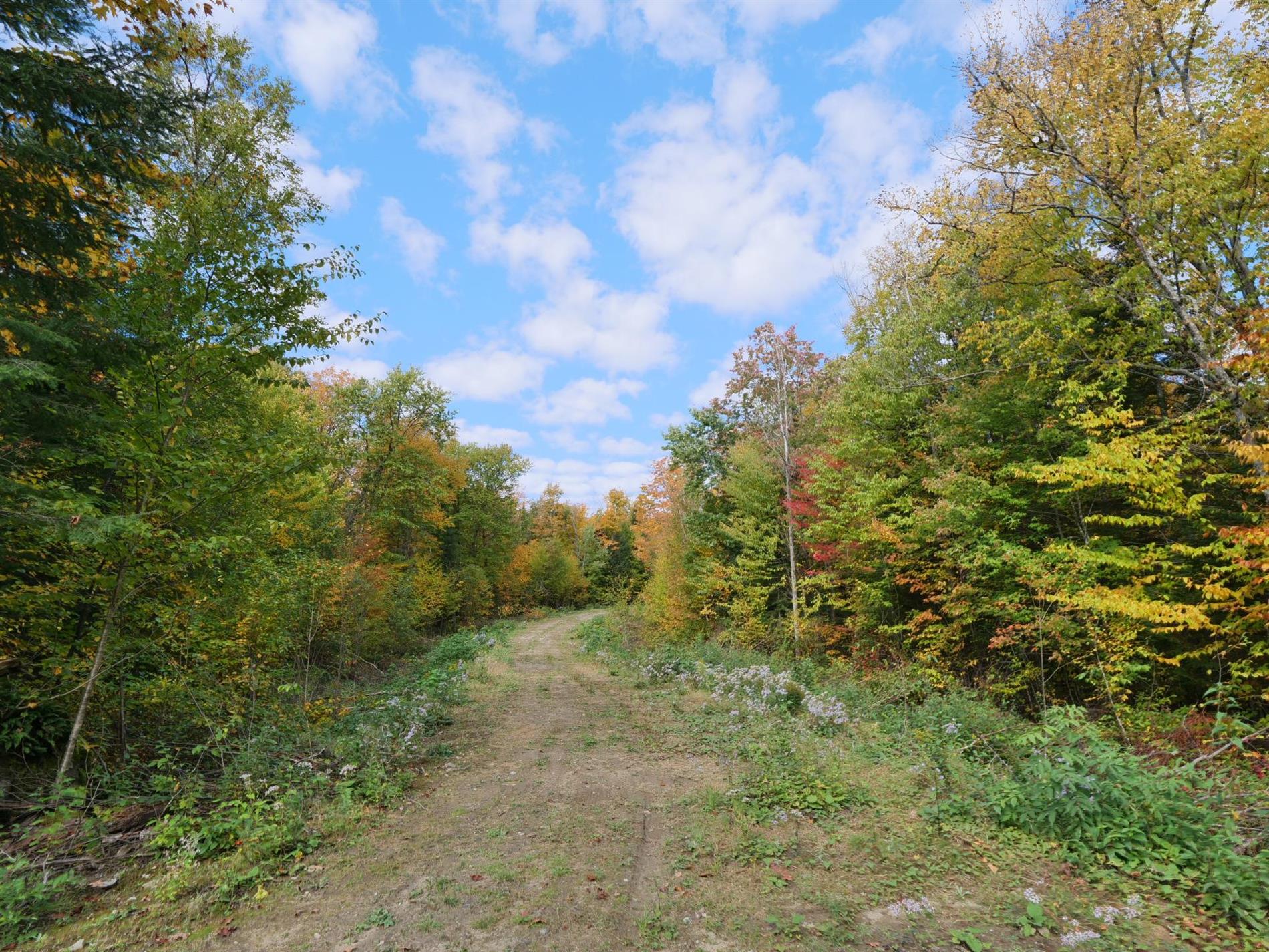 11e Rang — photo 2