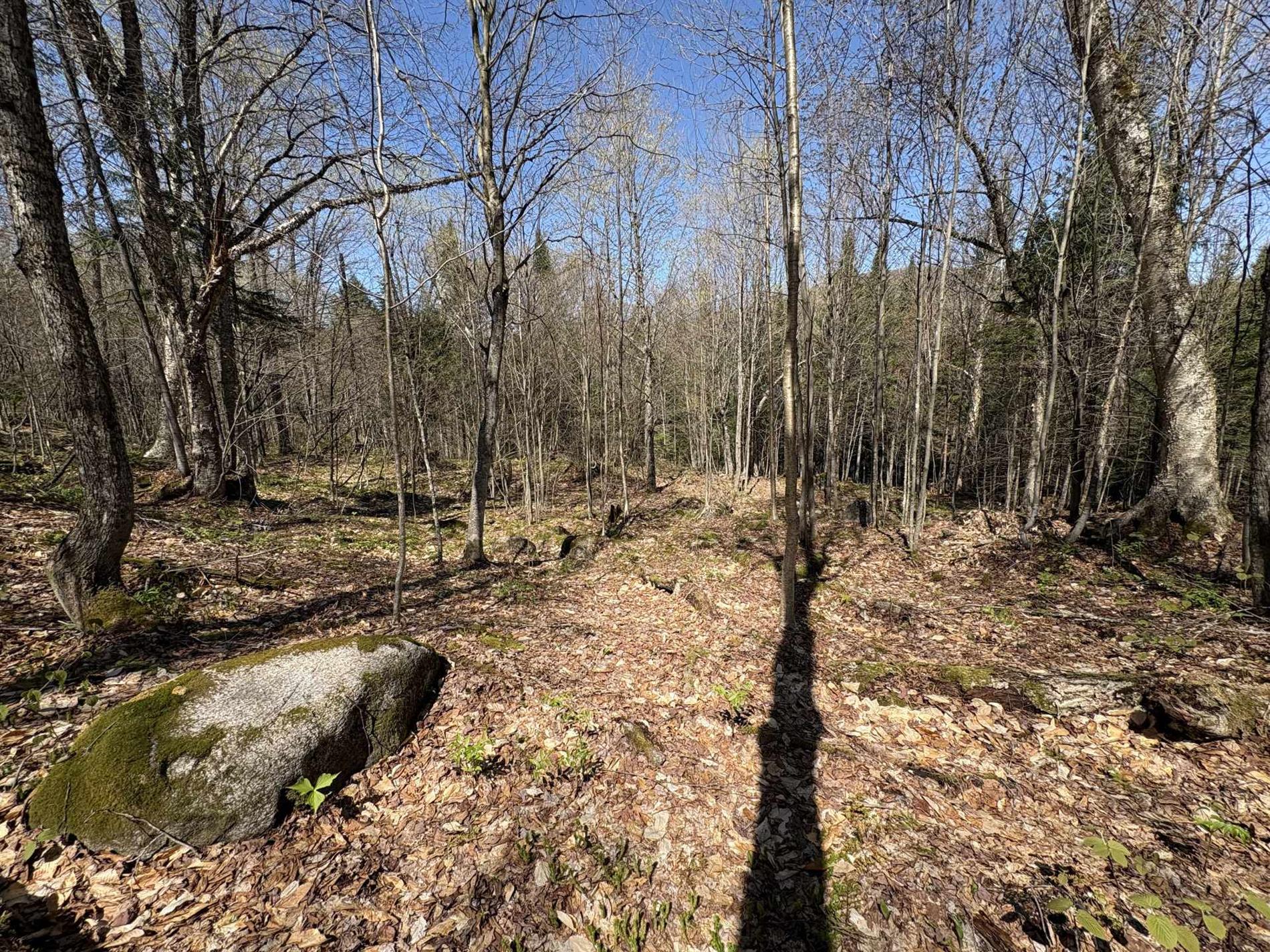 Ch. du Lac-Earl E. — photo 3