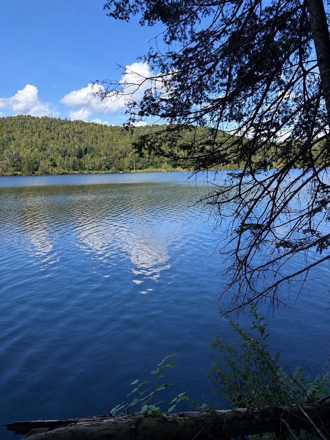 Ch. du Bord-de-l'Eau — photo 1