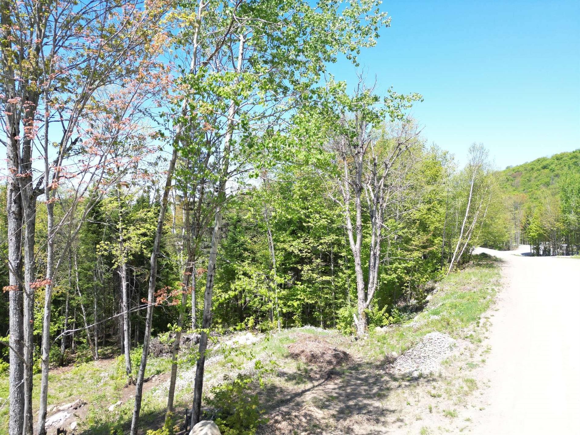 Allée du 5e — photo 2