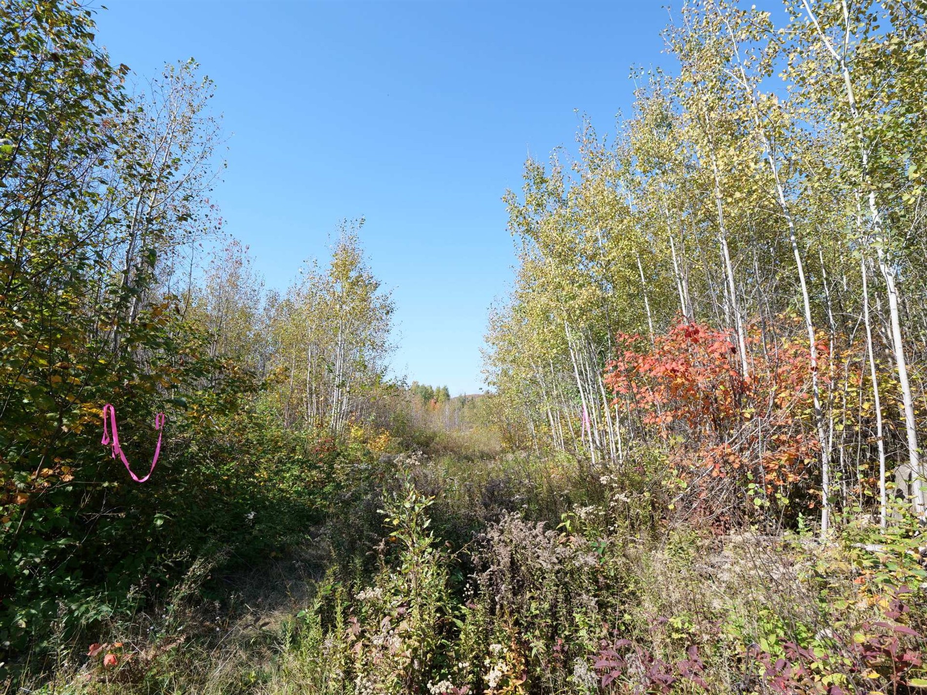 9e Rang — photo 2