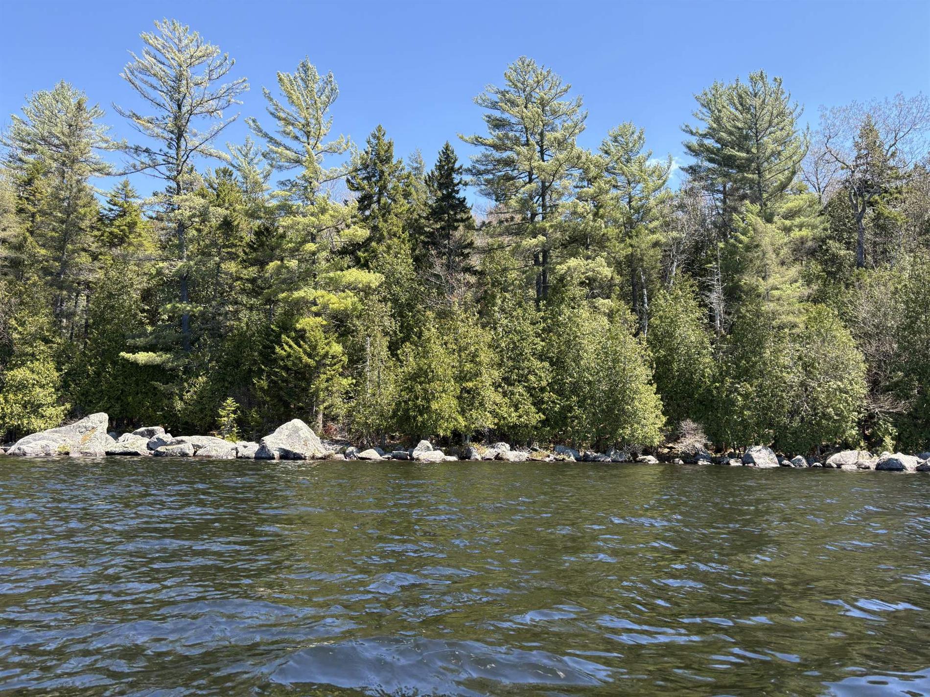 Ch. du Lac-Earl E. — photo 1