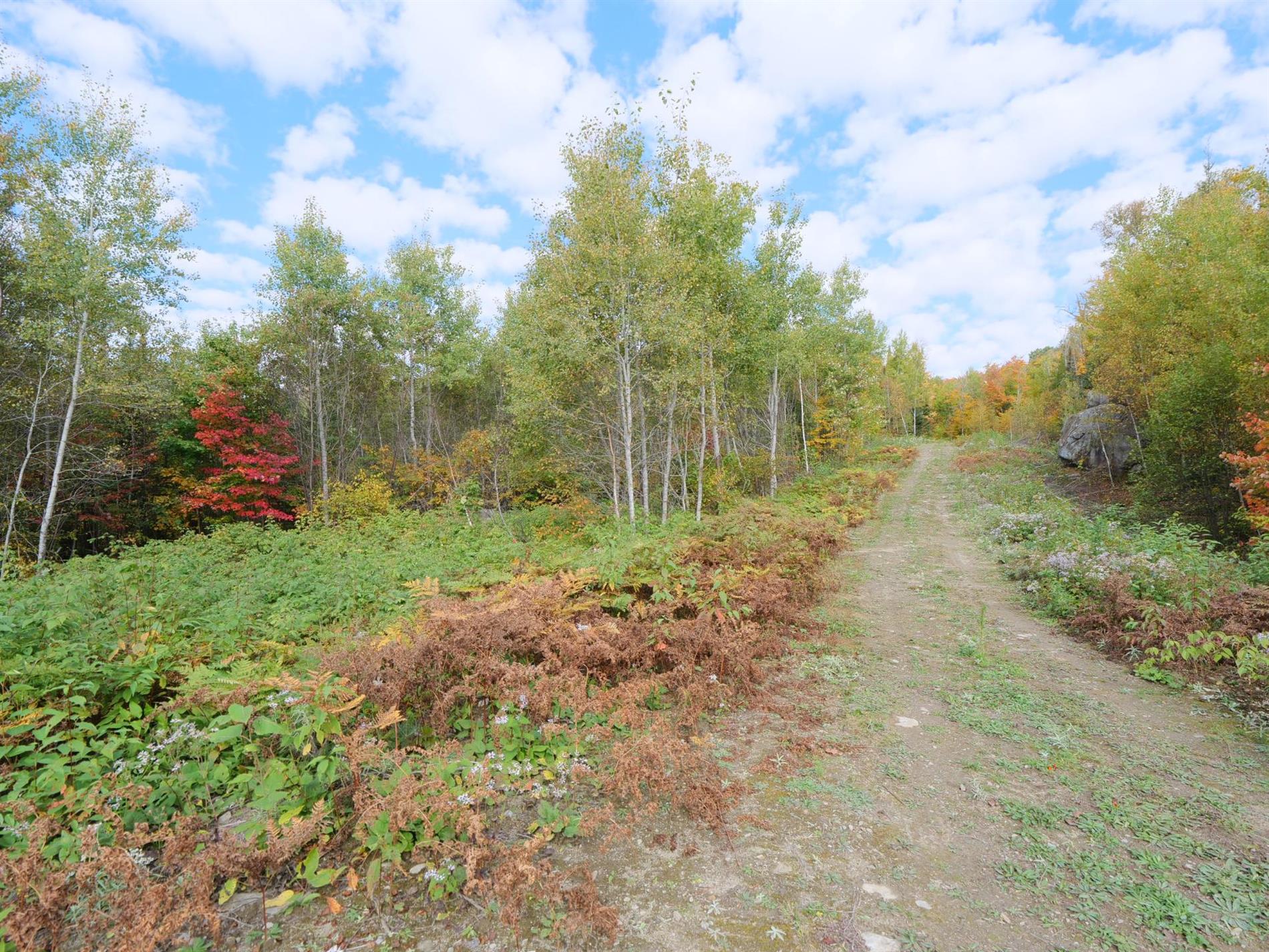 11e Rang — photo 1