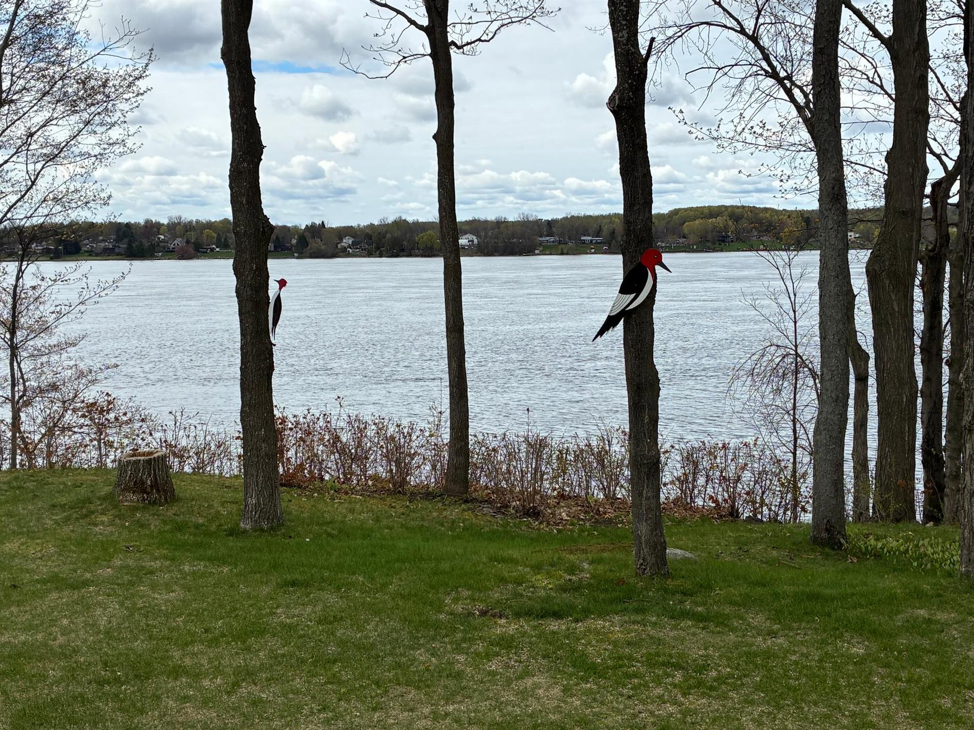 1595 Route des Outaouais — photo 3