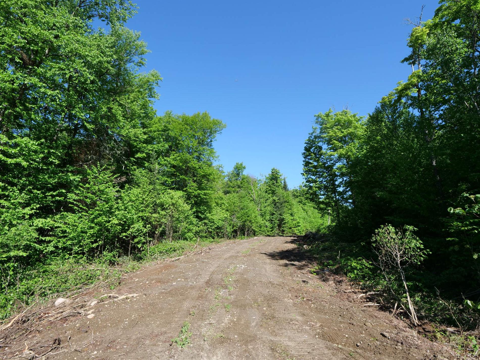 11e Rang — photo 1