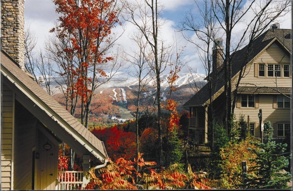 Appartement / Condo Mont-Tremblant