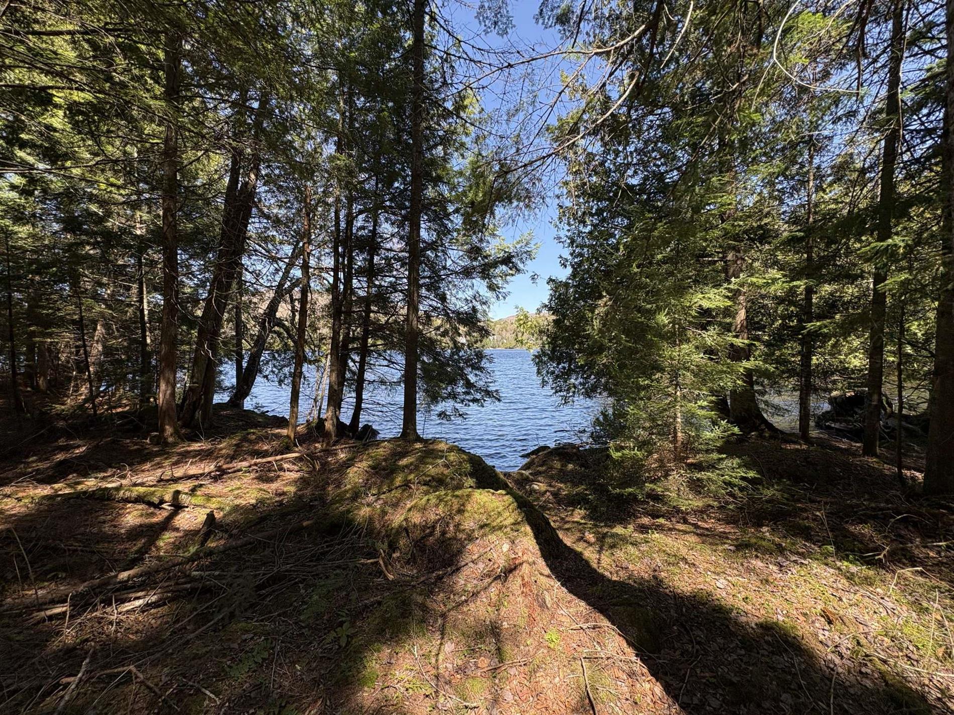 Ch. du Lac-Earl E. — photo 3