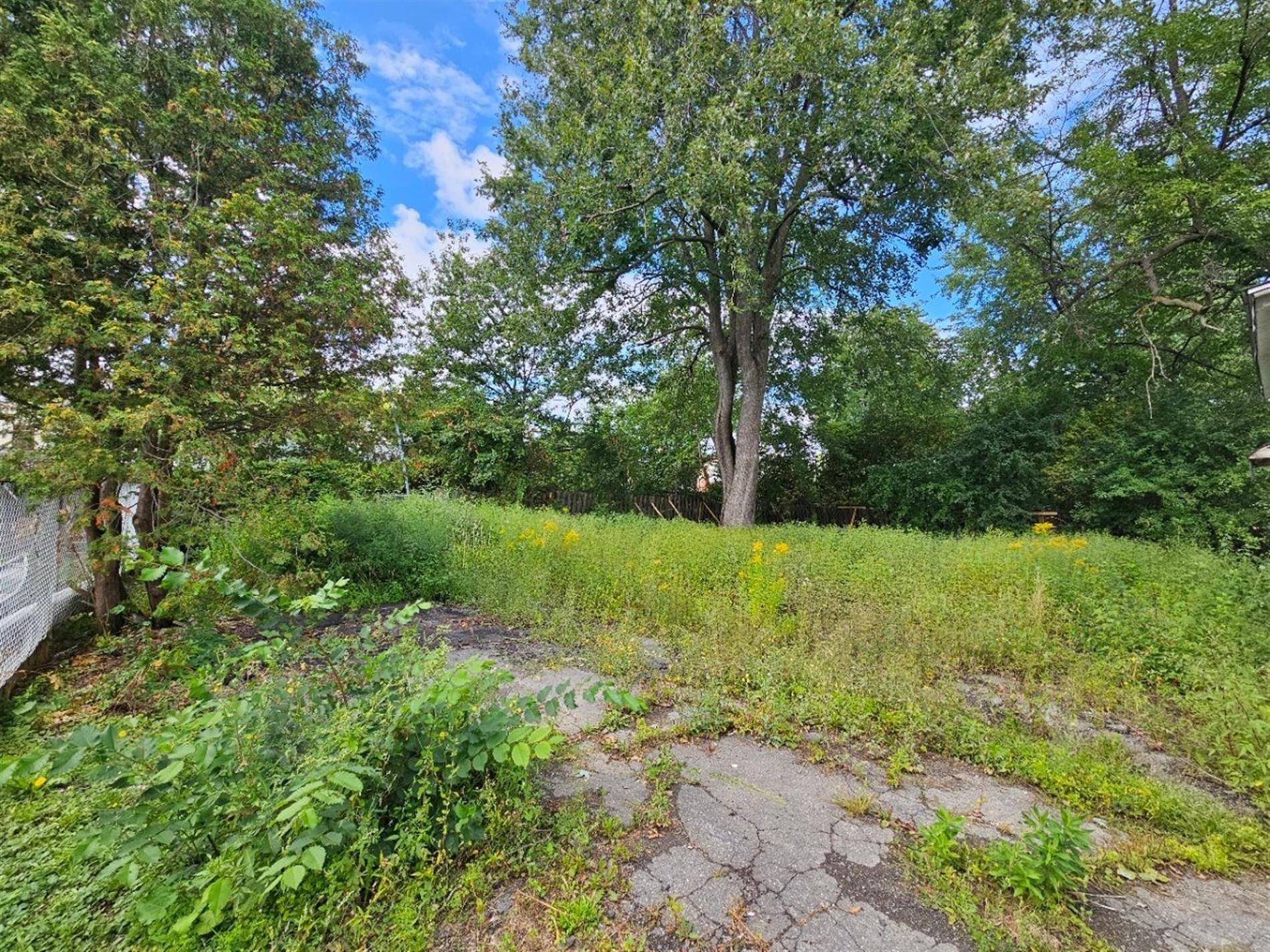 460Z Av. Starling — photo 2