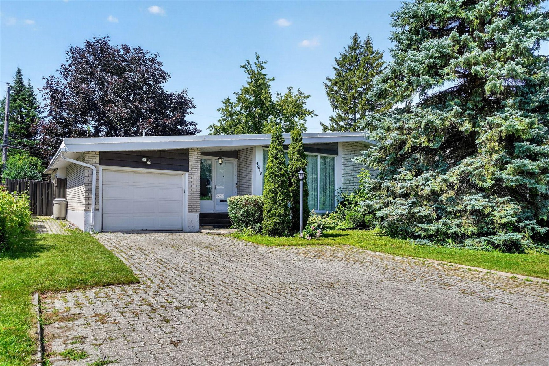 4949 Rue d'Orléans — photo 1