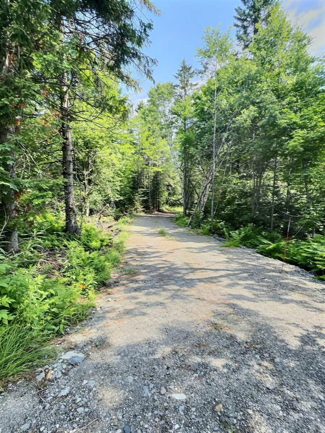 69 Route 214 — photo 1