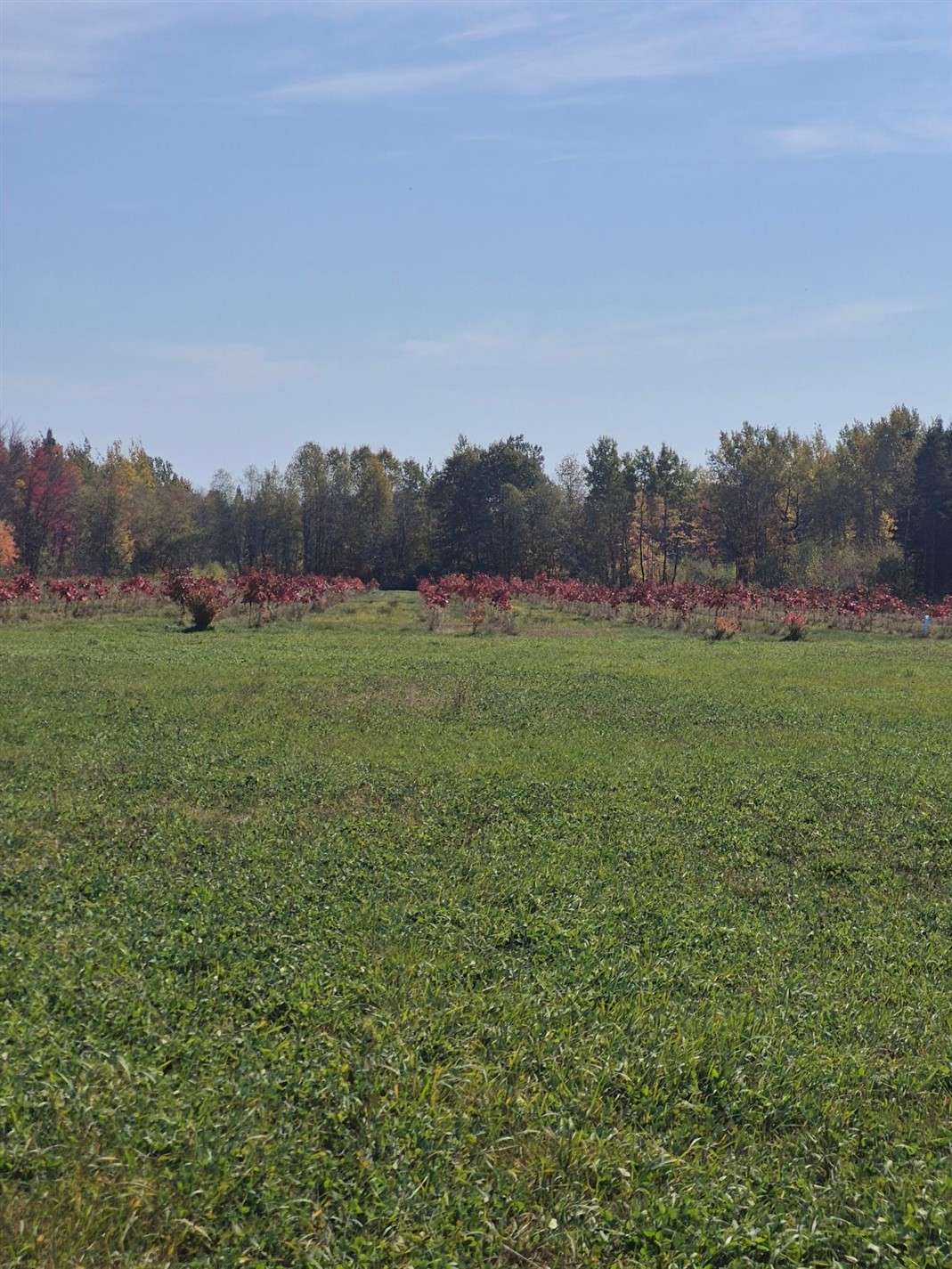 754Y Rg Ste-Agathe — photo 3