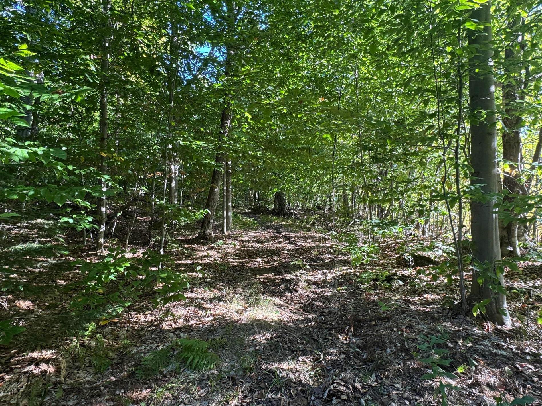 Route 329 — photo 3