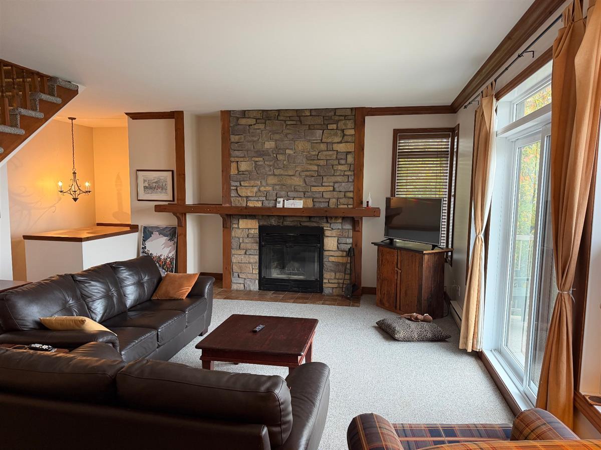 Appartement / Condo Mont-Tremblant