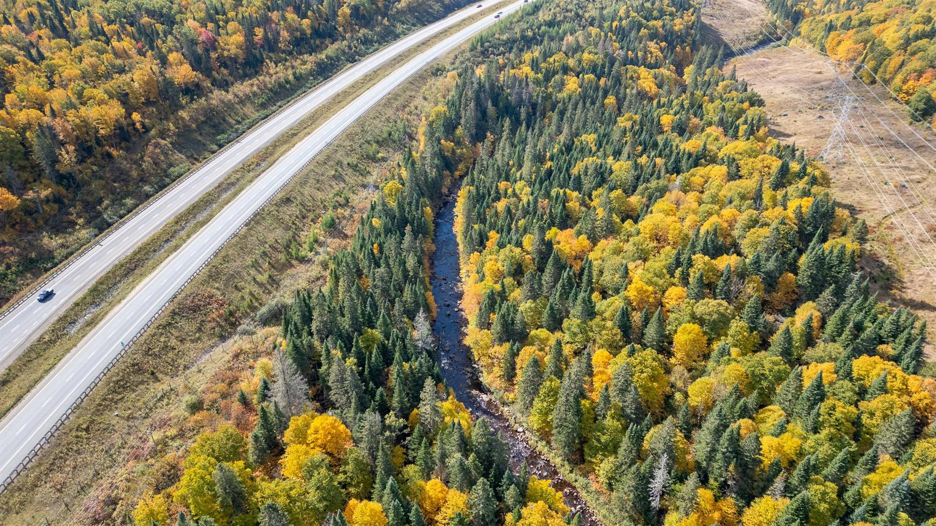 Terrain — 1 Rue non disponible, app. C