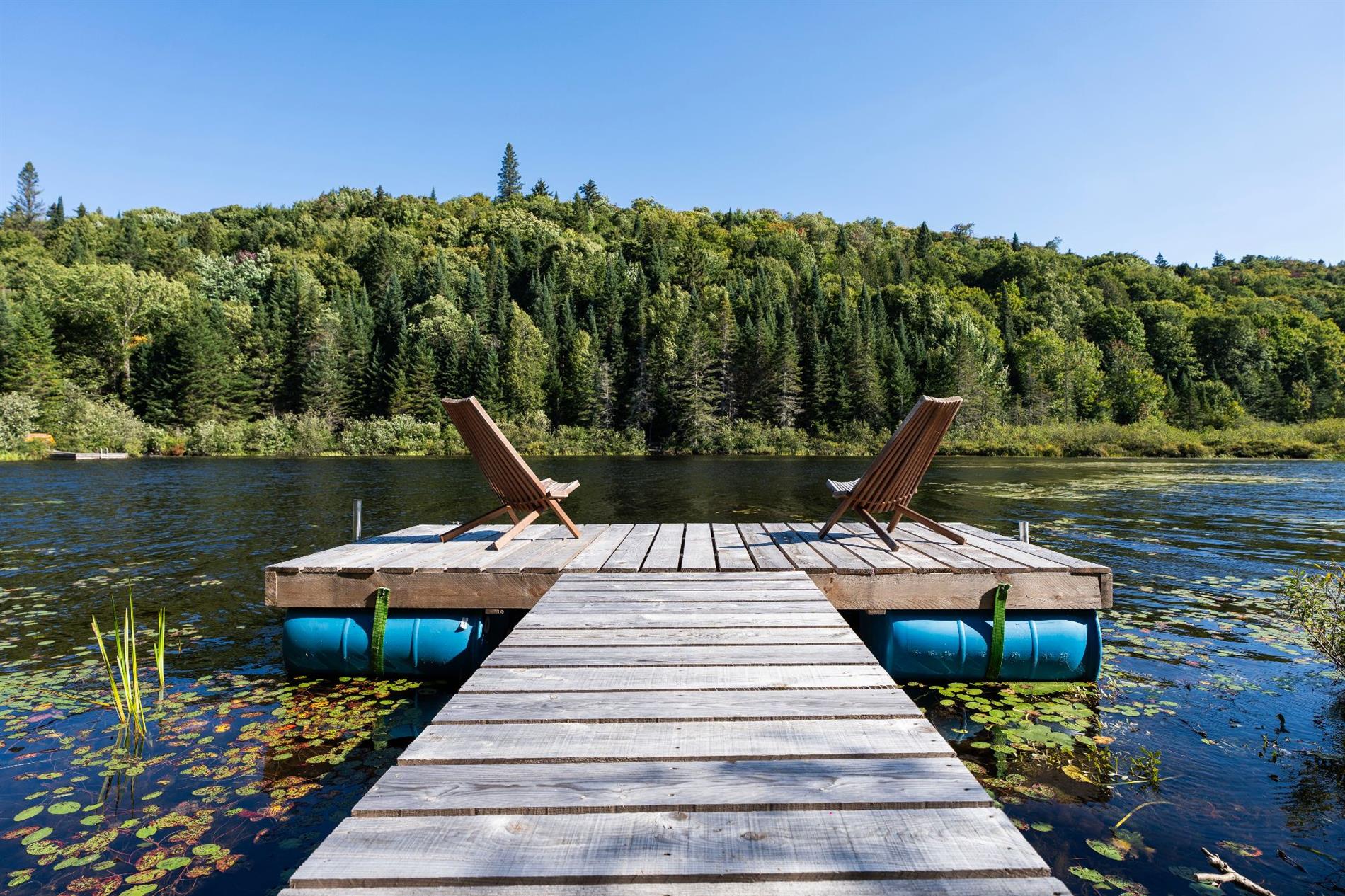 2024 Ch. du Lac-des-Trois-Frères — photo 3
