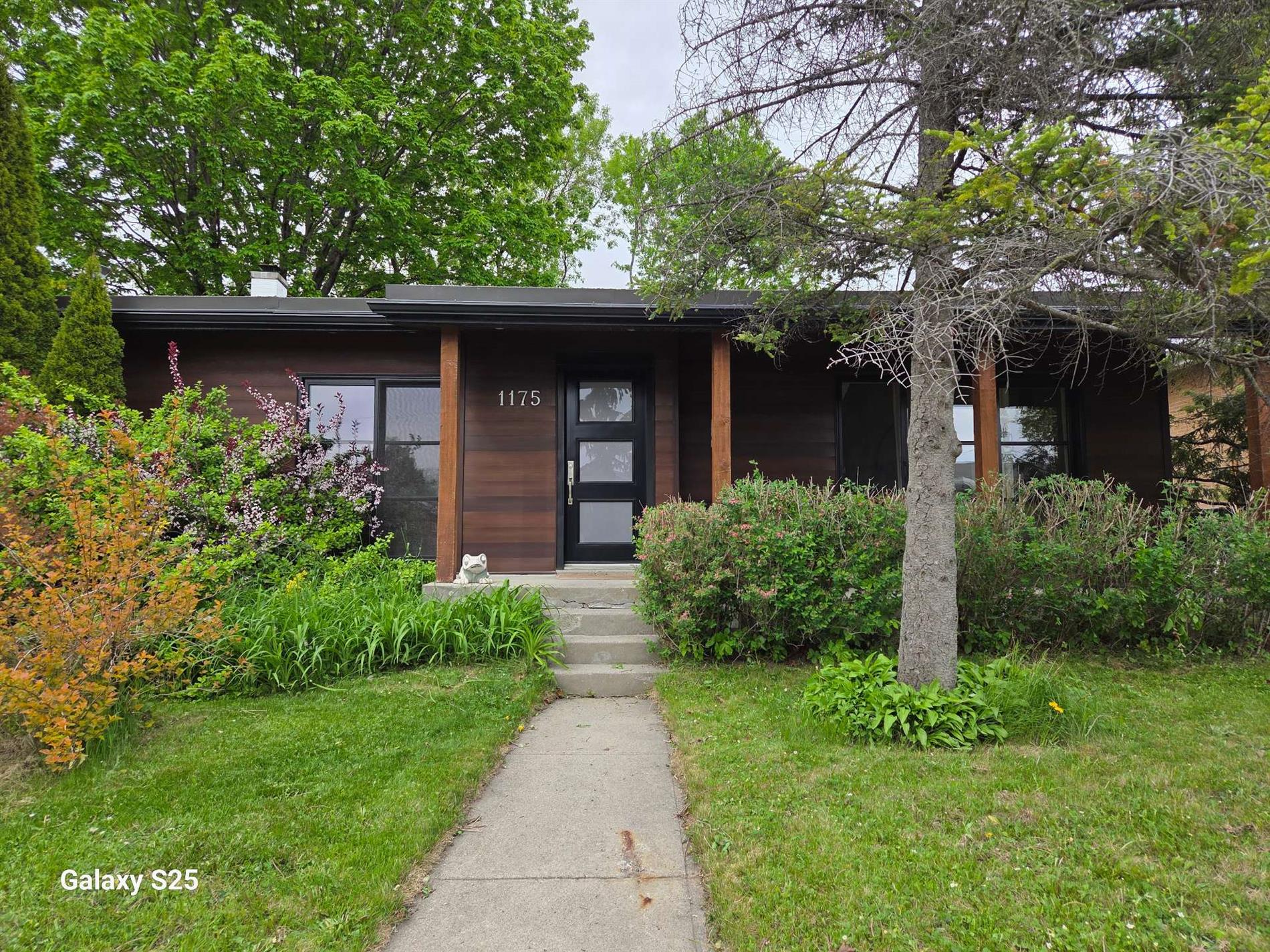 1175 Av. Collin — photo 1