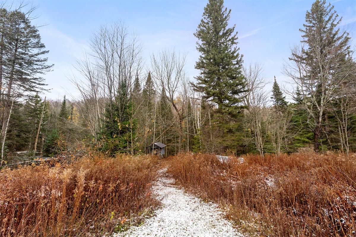 Vue 37 de la propriété réf. 19583779 – 720 Rue du Hibou-Blanc J8B 3J1