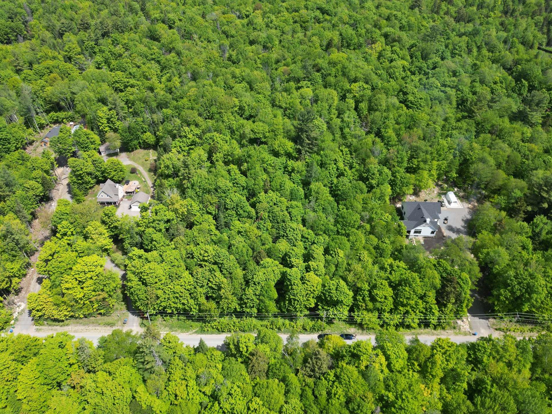 Ch. Braemar — photo 1