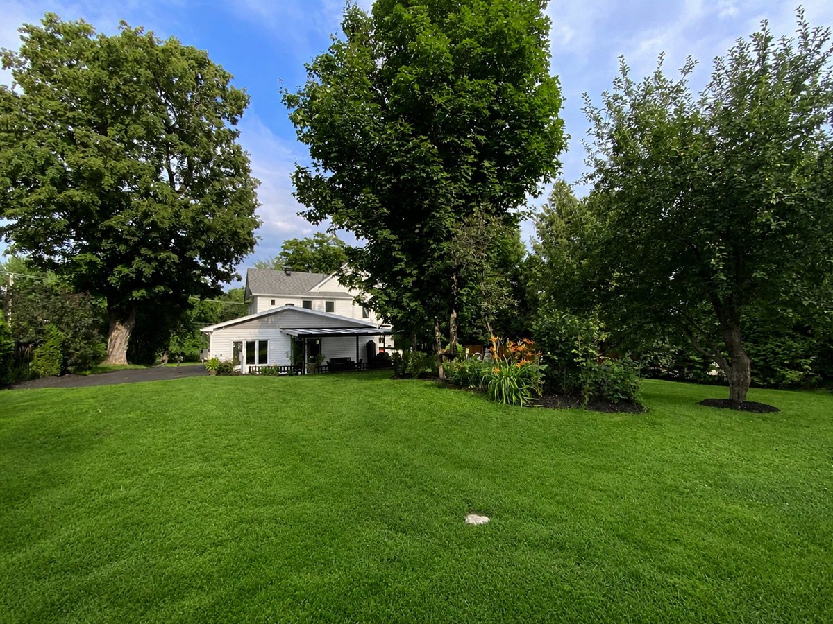 Photo 46