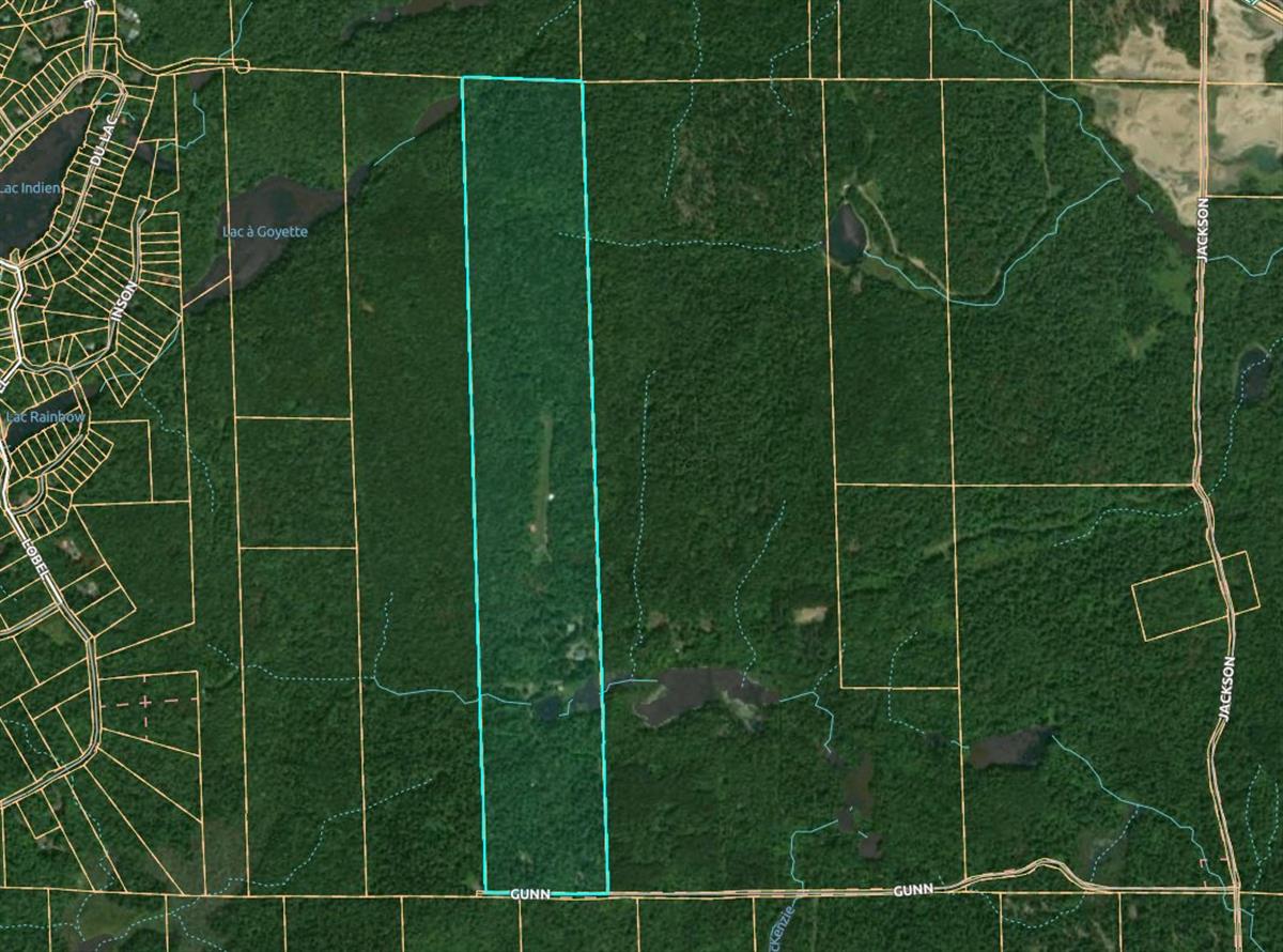 Terrain - Ch. Gunn, Brownsburg-Chatham