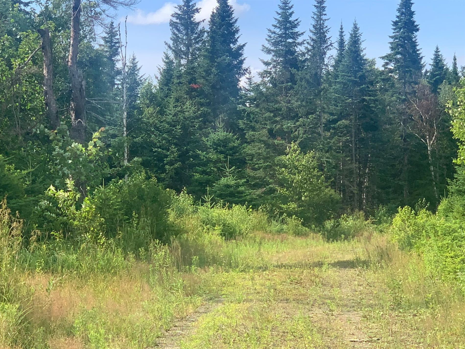 10e Rang — photo 3