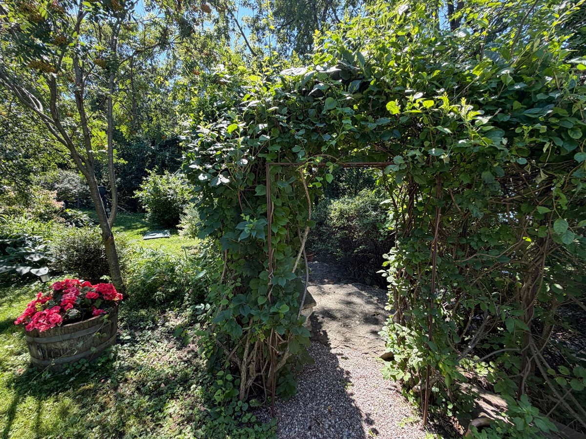 Photo 38