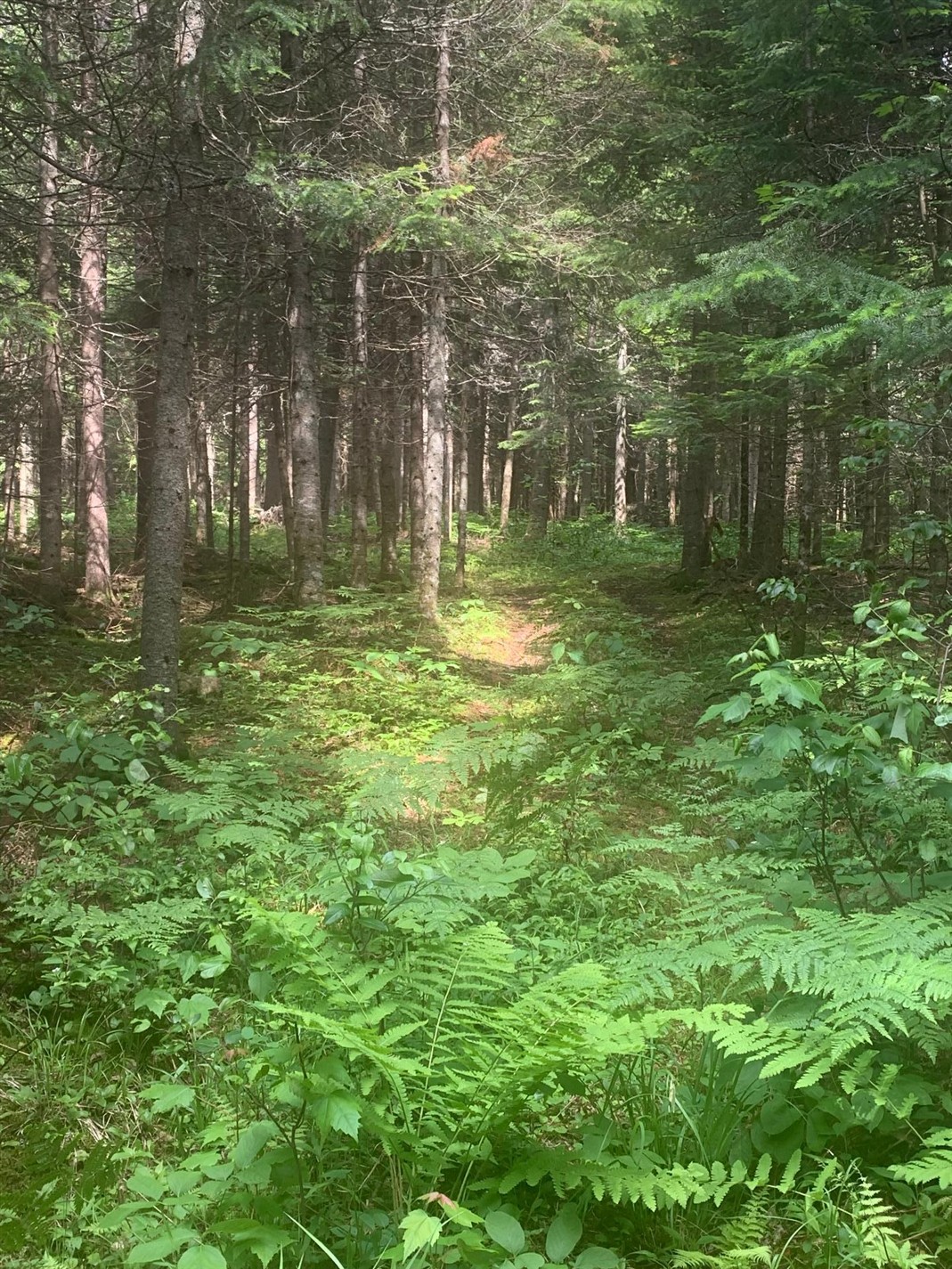 10e Rang — photo 3
