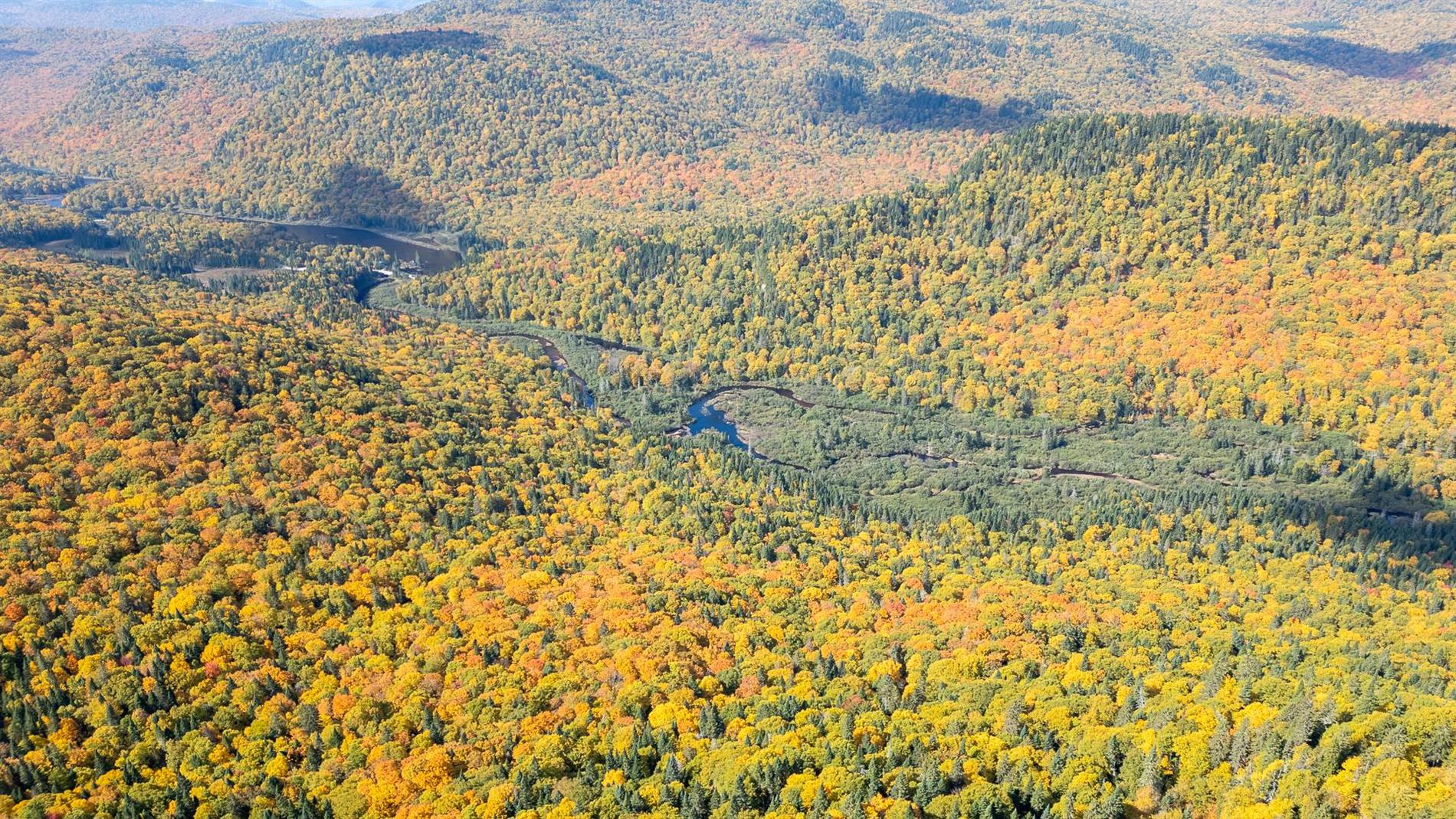 Terrain — 4556 Rue non disponible