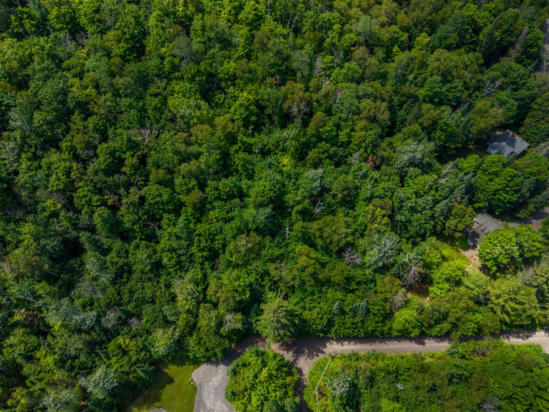 Ch. des Rouges-Gorges — photo 1