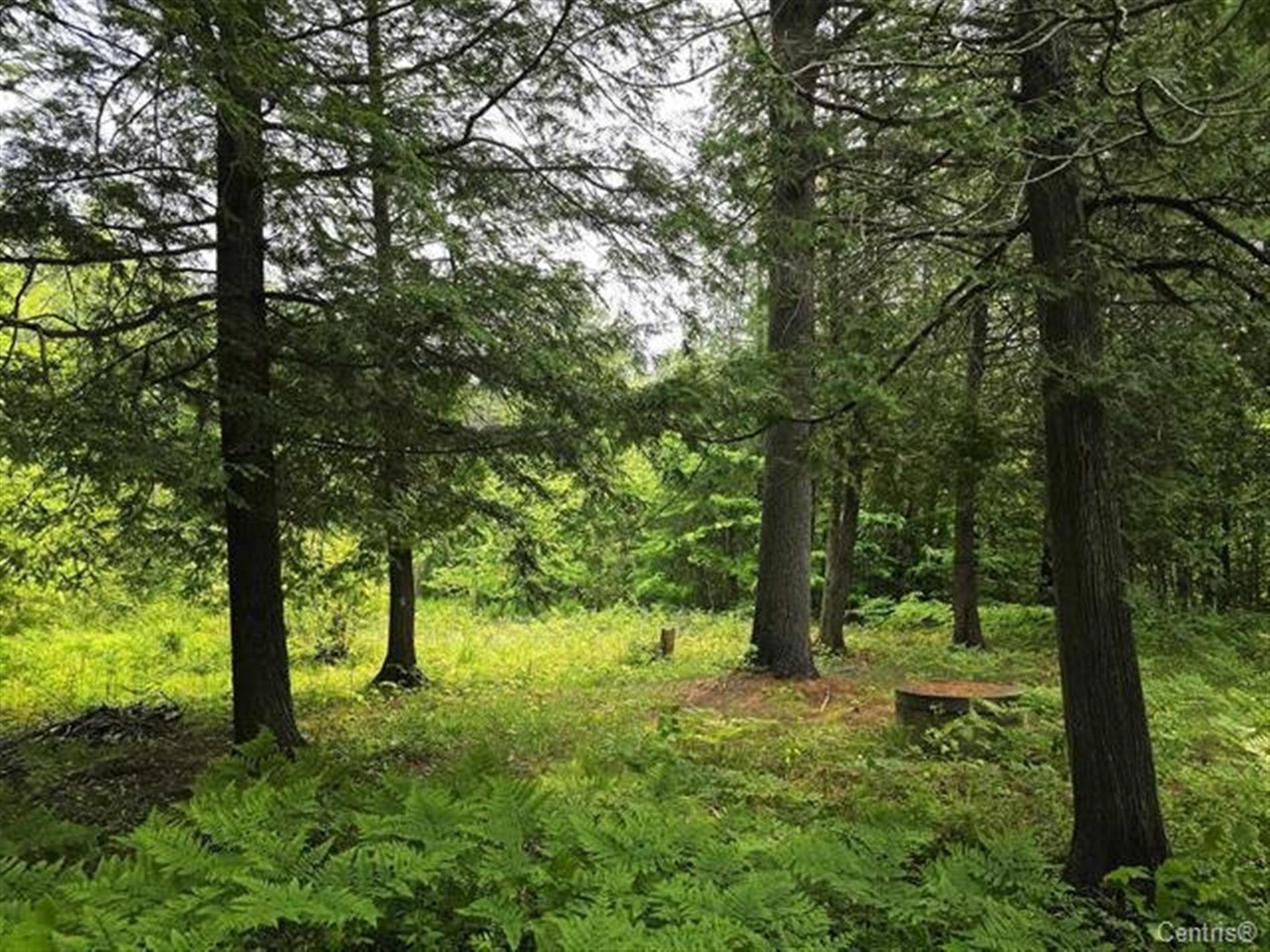 Ch. Lamoureux — photo 1