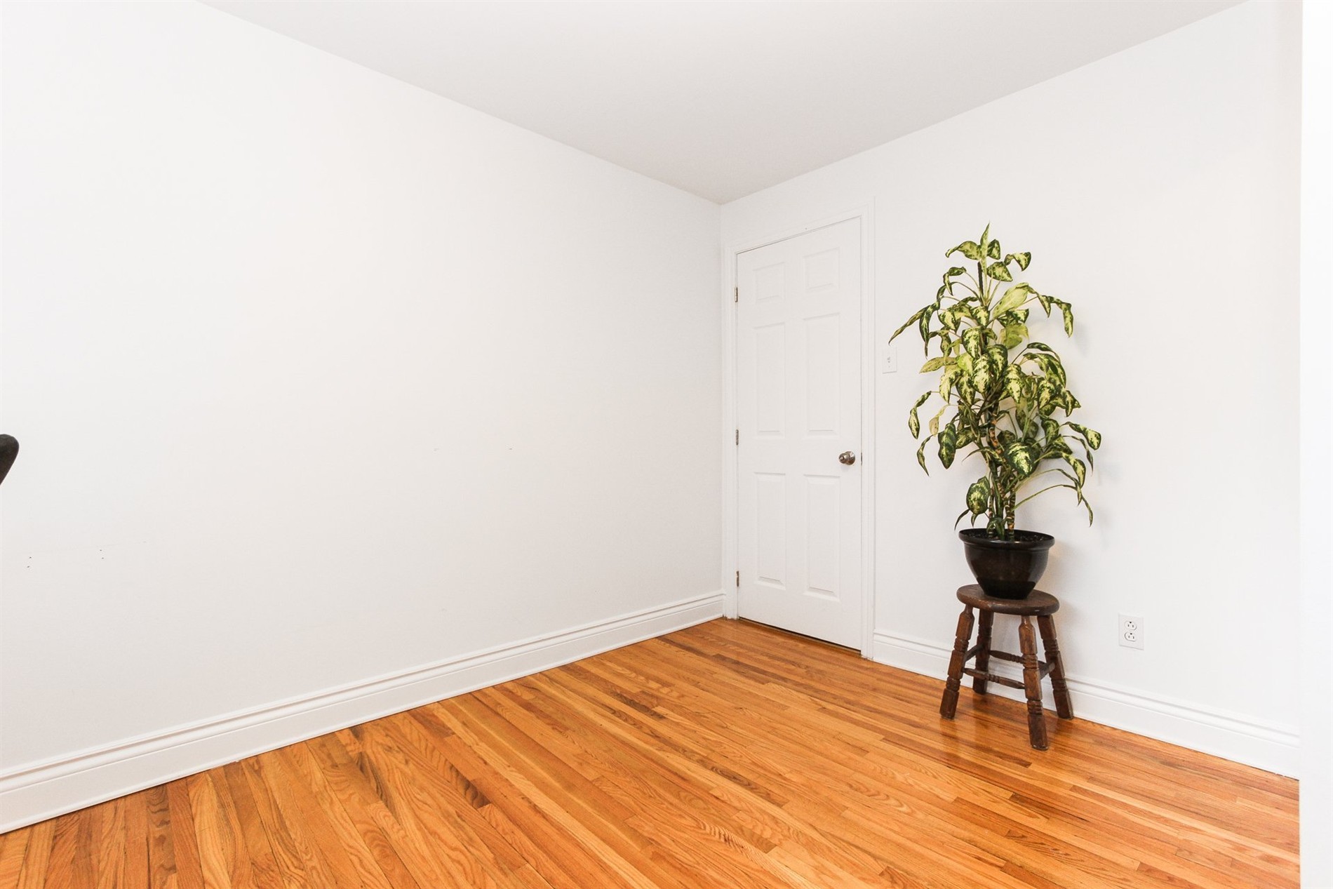 12458 Rue Fleming — photo 3