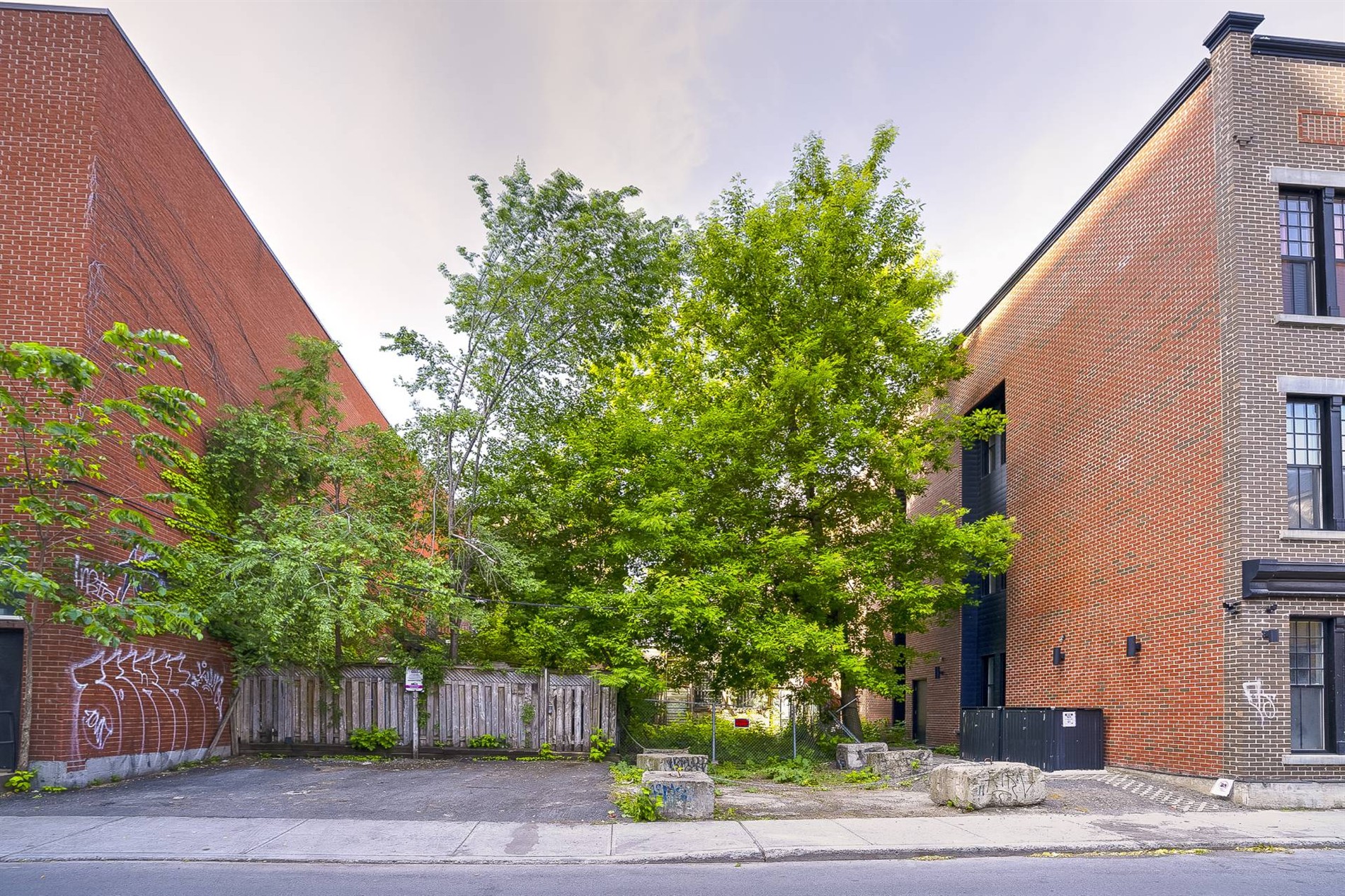 3473-3475 Boul. St-Laurent — photo 3