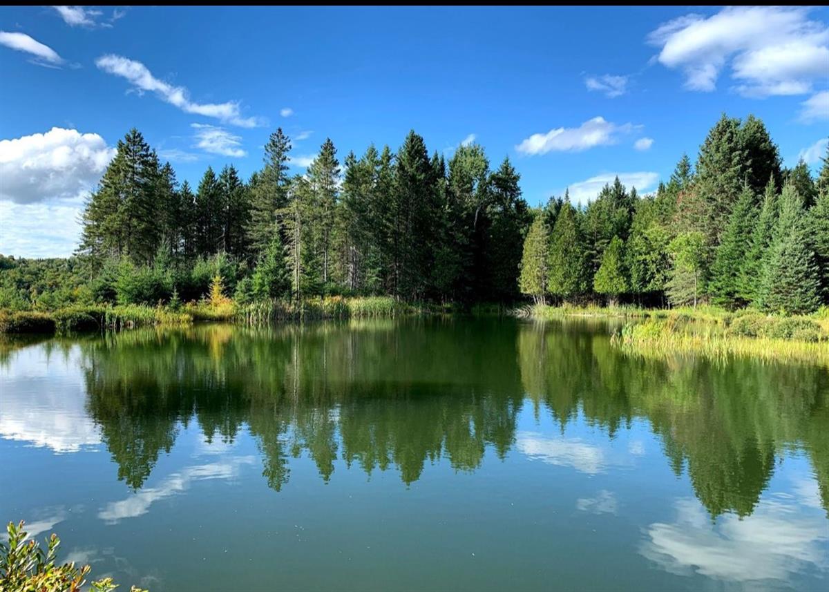 Vue 1 de la propriété réf. 17648921 – Ch. des Versants J0T 1S0