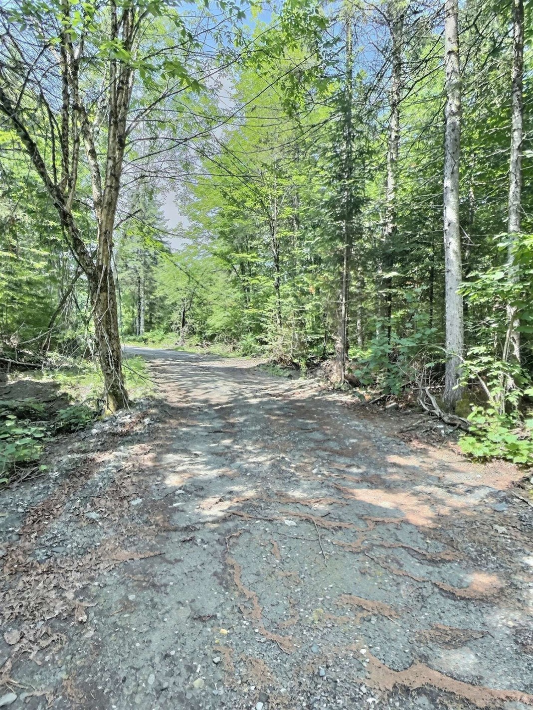 69 Route 214 — photo 3