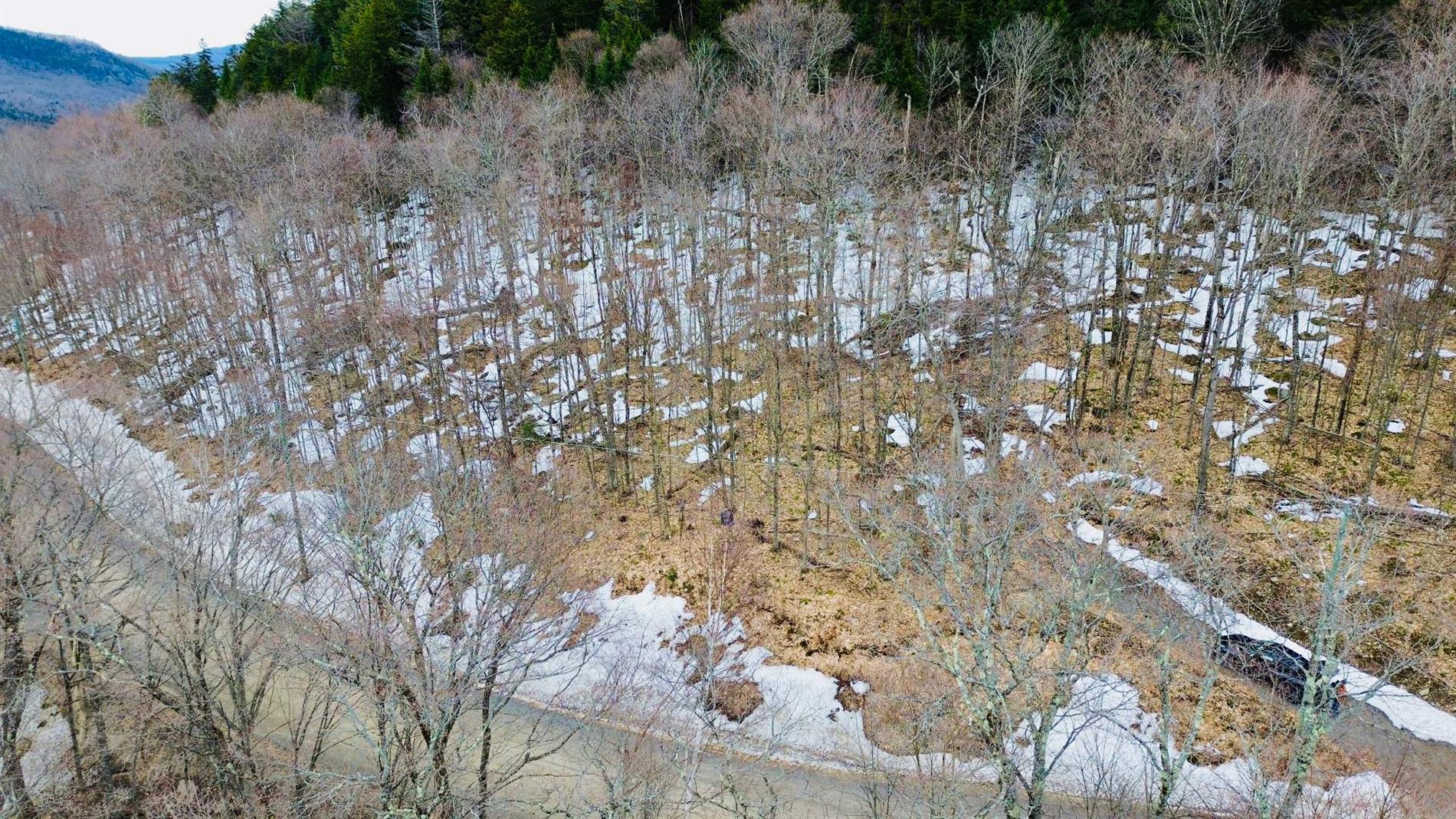 Ch. du Mont-la-Tuque — photo 3