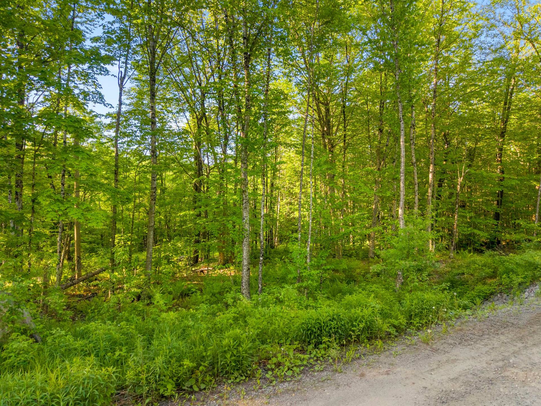 41 Ch. de la Montagne-Cachée — photo 1