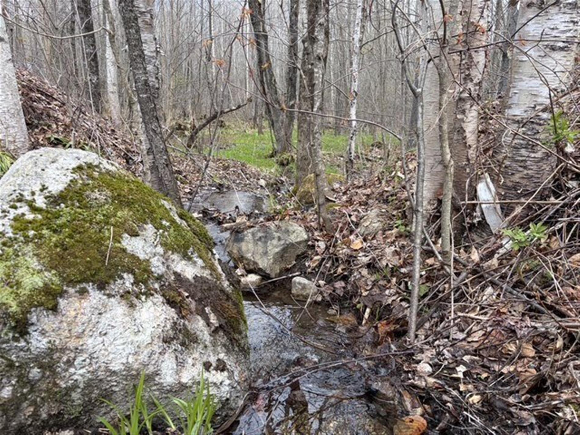 Ch. Lesage — photo 2